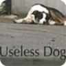 useless_dog_2005.jpg